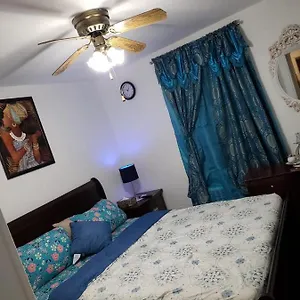 Comfortable Holiday Homestay Homestay New York